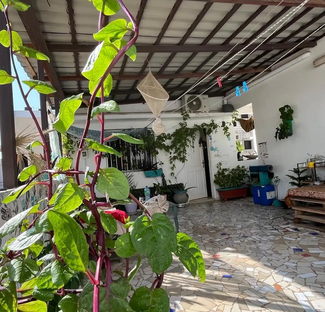 Dar Dyali Rooftop ⁿᵉᵃʳ ⁿᵍᵒʳ ᵇᵉᵃᶜʰ ᵃⁿᵈ ⁱˢˡᵃⁿᵈ Dakar Séjour chez l'habitant