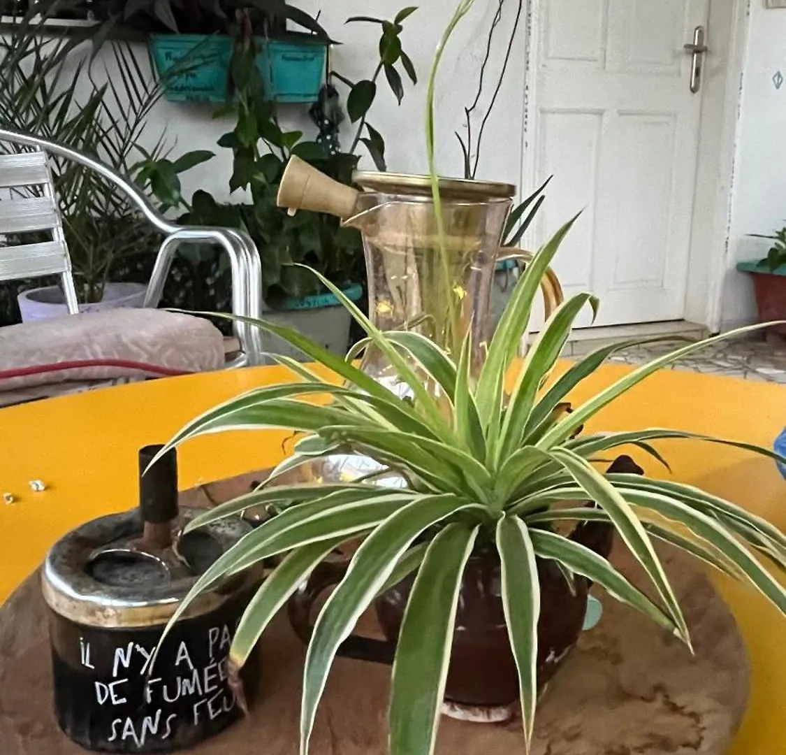 Dar Dyali Rooftop ⁿᵉᵃʳ ⁿᵍᵒʳ ᵇᵉᵃᶜʰ ᵃⁿᵈ ⁱˢˡᵃⁿᵈ Dakar Alloggio in famiglia